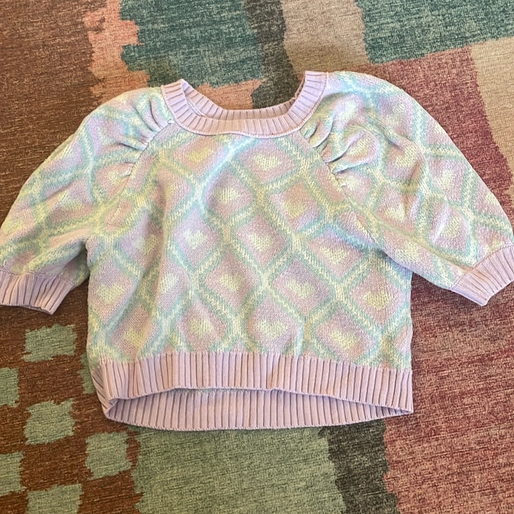 Wild Fable Purple Sweater